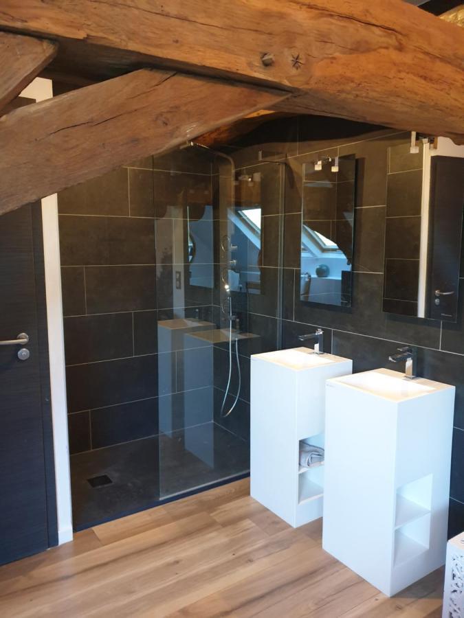 Maison Belenos Nevy-Sur-Seille エクステリア 写真